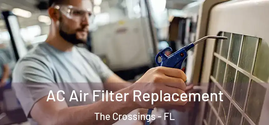 AC Air Filter Replacement The Crossings - FL