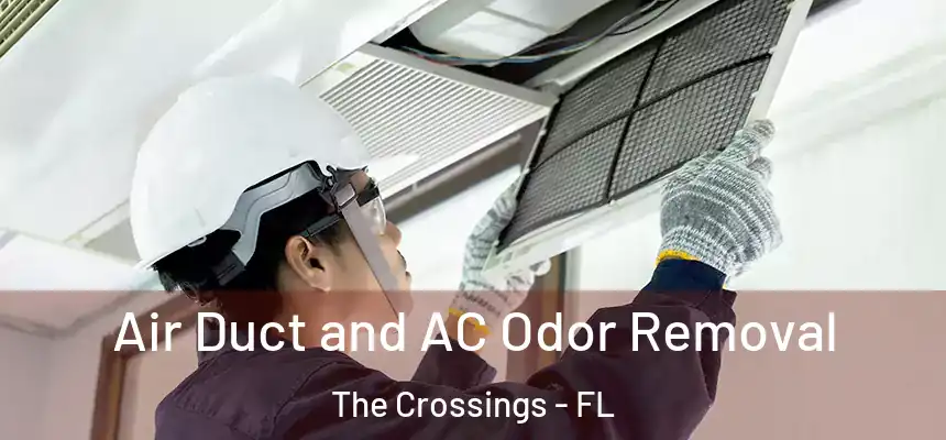 Air Duct and AC Odor Removal The Crossings - FL