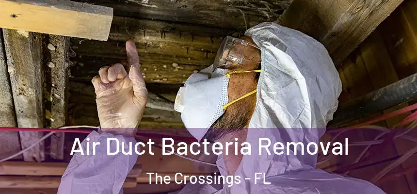 Air Duct Bacteria Removal The Crossings - FL