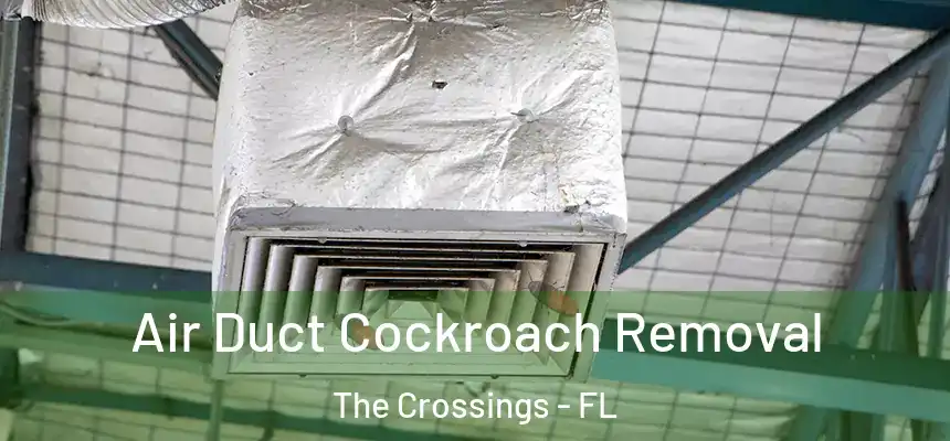Air Duct Cockroach Removal The Crossings - FL