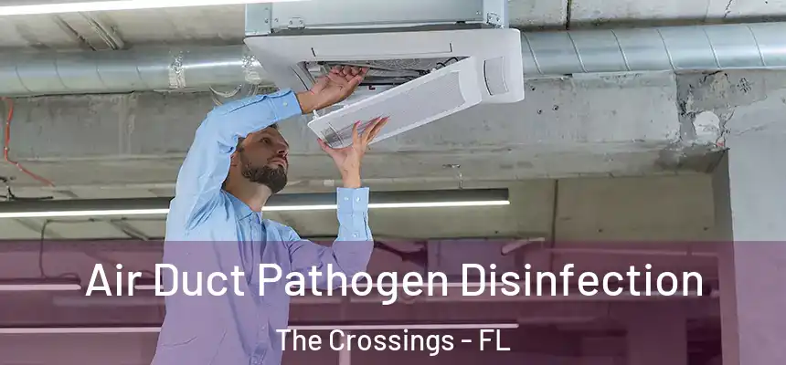 Air Duct Pathogen Disinfection The Crossings - FL