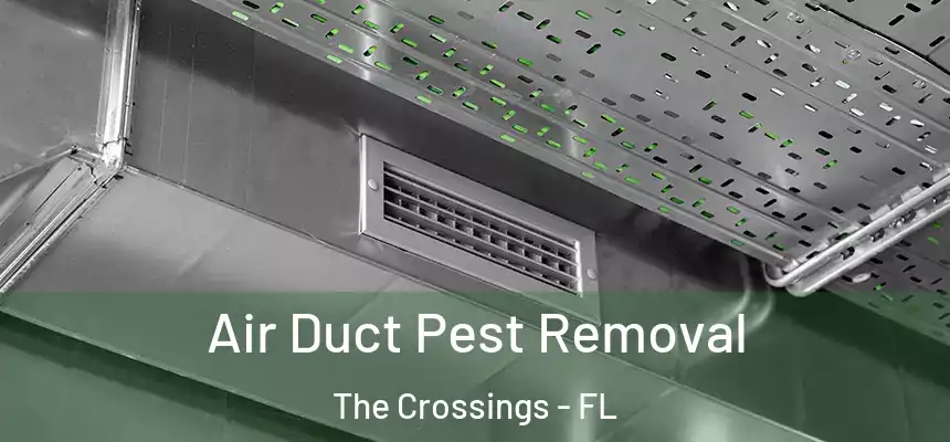 Air Duct Pest Removal The Crossings - FL