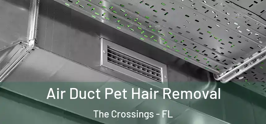 Air Duct Pet Hair Removal The Crossings - FL