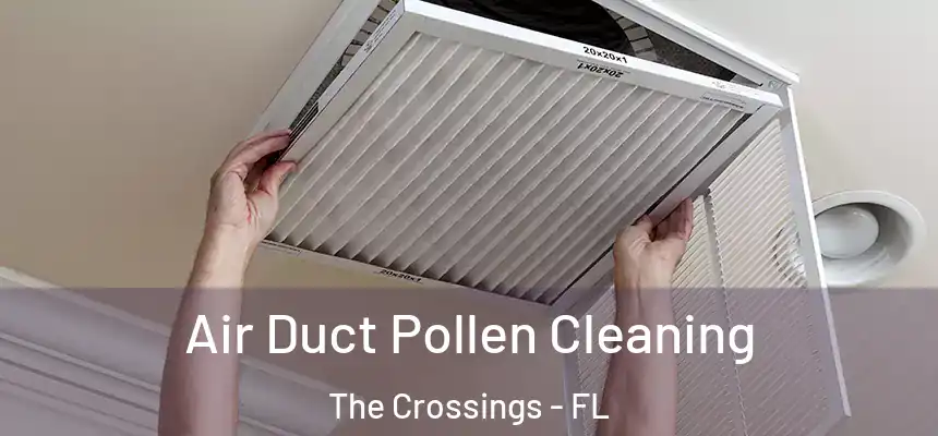Air Duct Pollen Cleaning The Crossings - FL