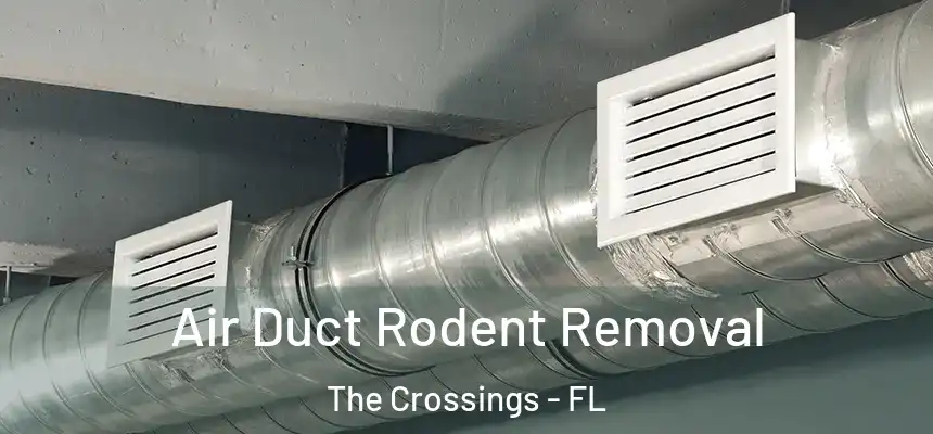 Air Duct Rodent Removal The Crossings - FL