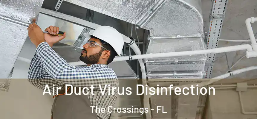 Air Duct Virus Disinfection The Crossings - FL
