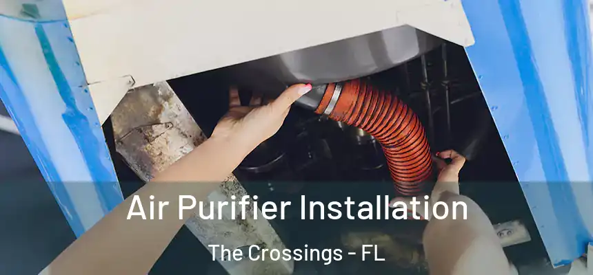 Air Purifier Installation The Crossings - FL
