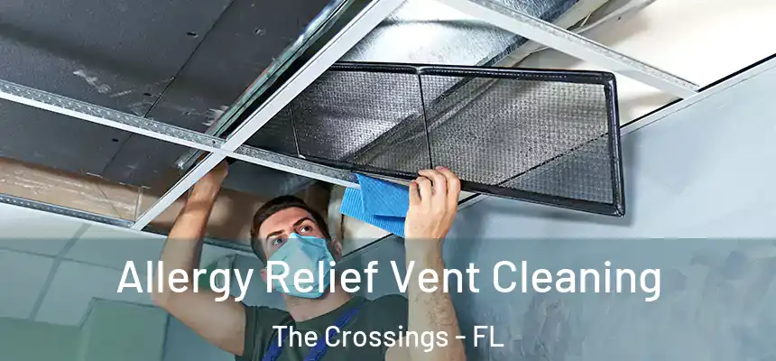 Allergy Relief Vent Cleaning The Crossings - FL