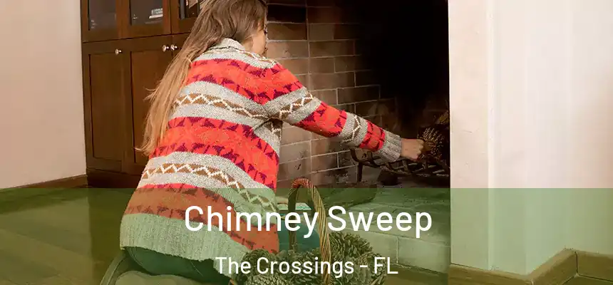 Chimney Sweep The Crossings - FL