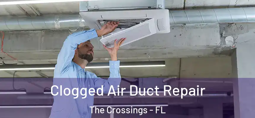 Clogged Air Duct Repair The Crossings - FL