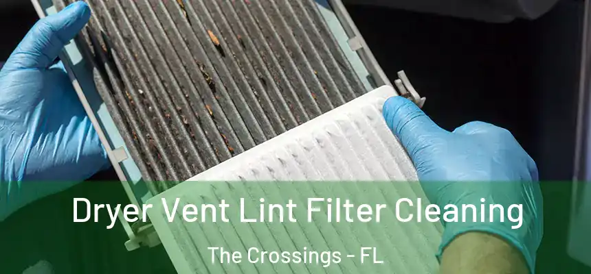 Dryer Vent Lint Filter Cleaning The Crossings - FL