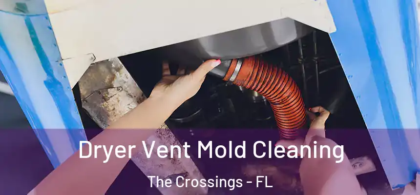 Dryer Vent Mold Cleaning The Crossings - FL
