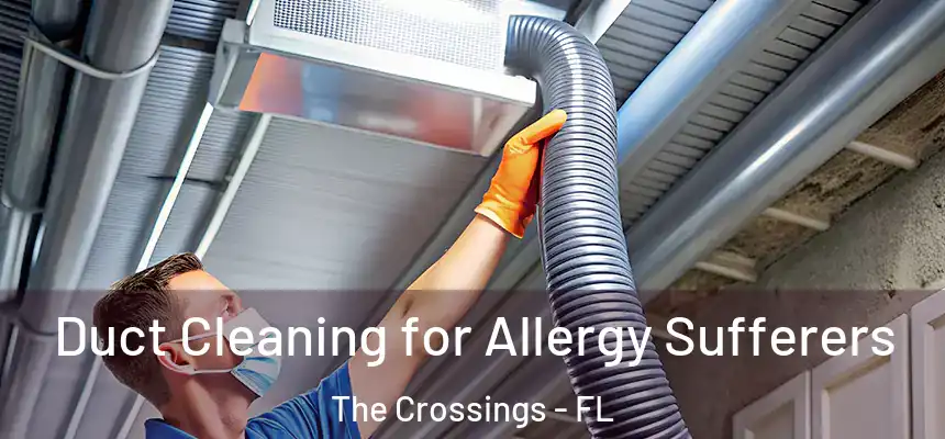 Duct Cleaning for Allergy Sufferers The Crossings - FL