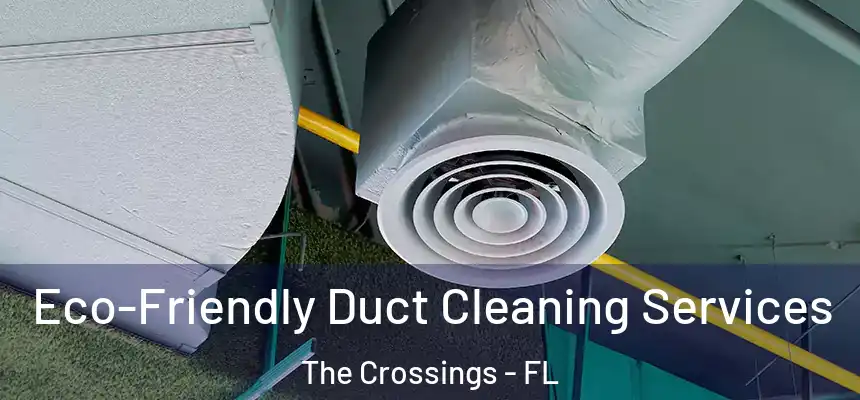 Eco-Friendly Duct Cleaning Services The Crossings - FL