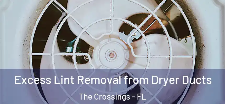 Excess Lint Removal from Dryer Ducts The Crossings - FL