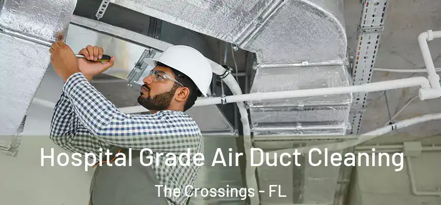 Hospital Grade Air Duct Cleaning The Crossings - FL