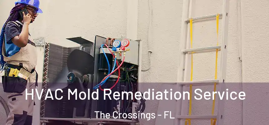 HVAC Mold Remediation Service The Crossings - FL