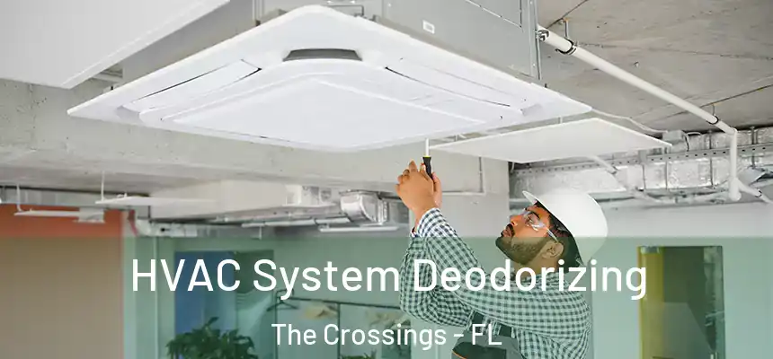 HVAC System Deodorizing The Crossings - FL
