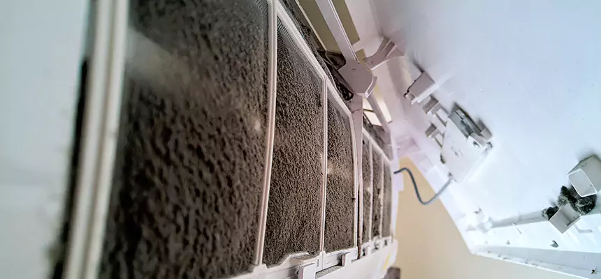 Preventive Air Duct Bacteria Removal in The Crossings