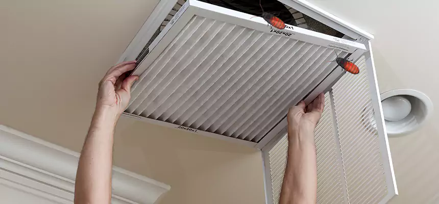 Preventive Cockroach-Proofing for Ducts in The Crossings