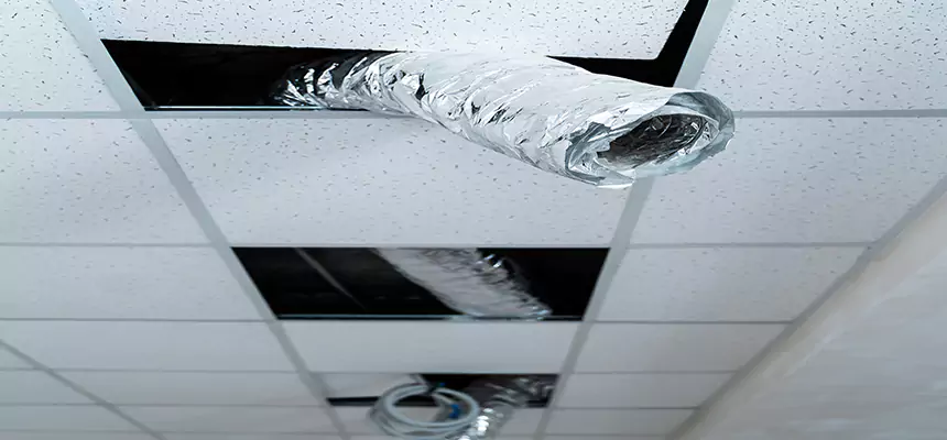 Our Air Duct Pet Hair Removal Services in The Crossings, FL
