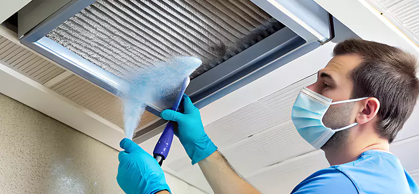Proactive Dryer Vent & Auxiliary Duct Pollen Cleanup in The Crossings, FL