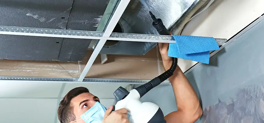 Our Air Duct Rodent Removal Services in The Crossings, FL