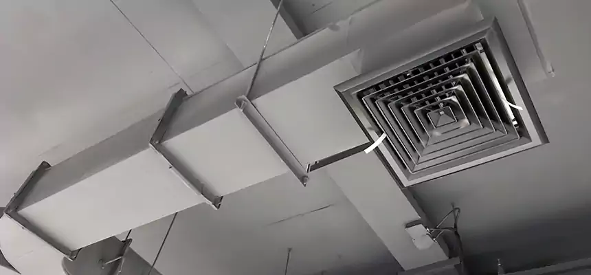 Restorative Allergy Relief Vent Cleaning – Coil, Blower & Housing Detail in The Crossings