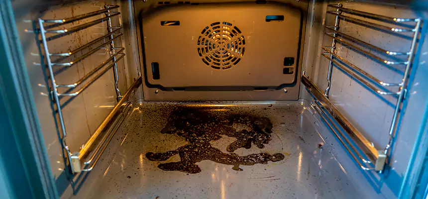 Our Dryer Vent Mold Cleaning Services in The Crossings, FL