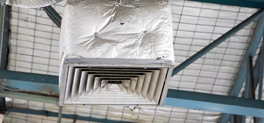 Our HVAC Mold Remediation Service Services in The Crossings, FL