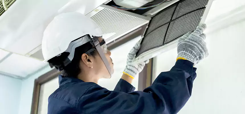Our Mold & Mildew Removal from Air Ducts Services in The Crossings, FL