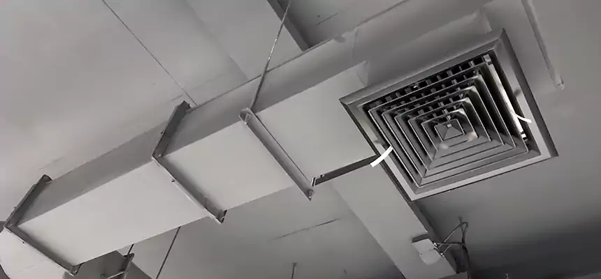 Our Pest Removal From Ducts Services in The Crossings, FL