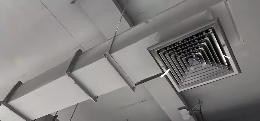 Our Rodent Droppings In Vents Services in The Crossings, FL