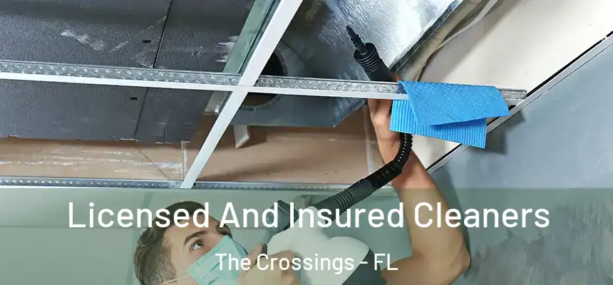 Licensed And Insured Cleaners The Crossings - FL