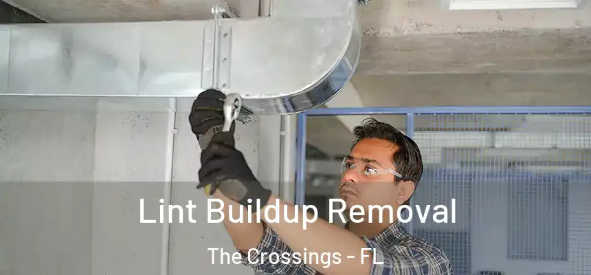 Lint Buildup Removal The Crossings - FL