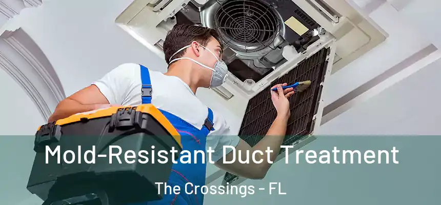 Mold-Resistant Duct Treatment The Crossings - FL