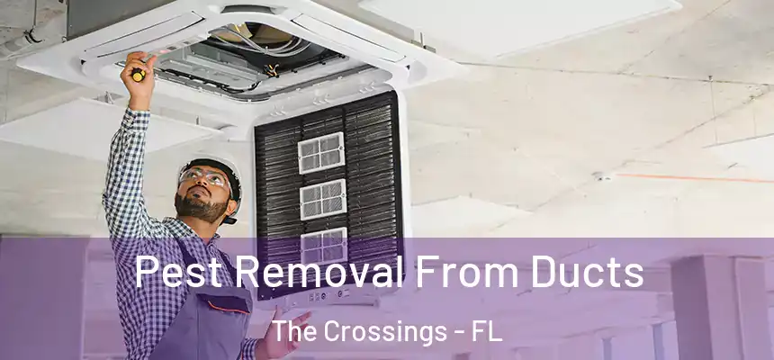 Pest Removal From Ducts The Crossings - FL