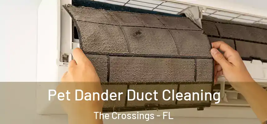 Pet Dander Duct Cleaning The Crossings - FL