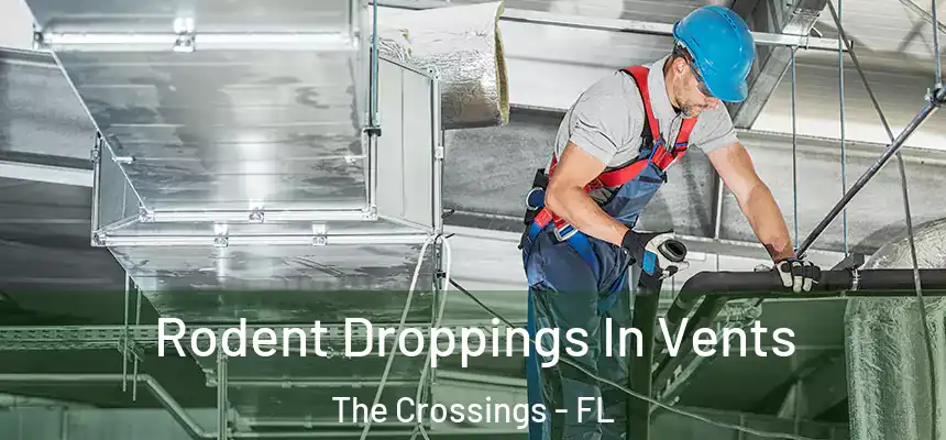 Rodent Droppings In Vents The Crossings - FL