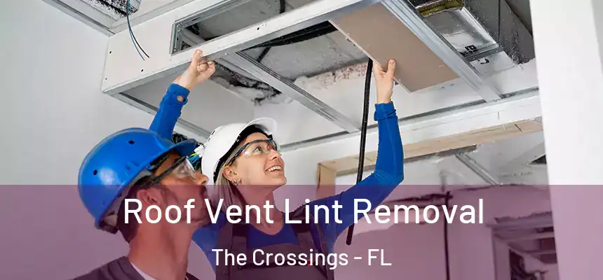Roof Vent Lint Removal The Crossings - FL