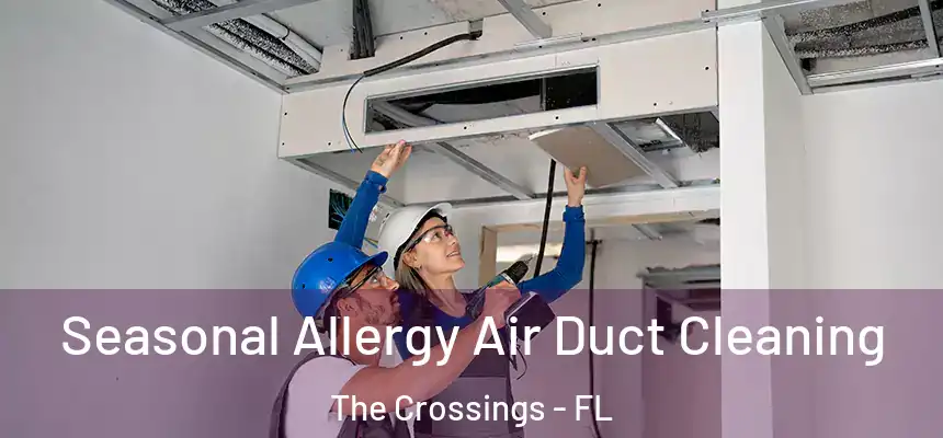 Seasonal Allergy Air Duct Cleaning The Crossings - FL