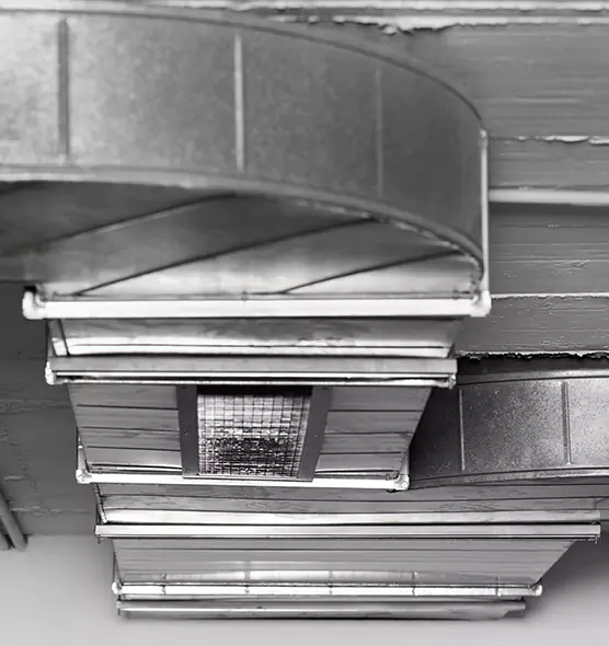 Professional Air Duct Pest Removal in The Crossings, FL