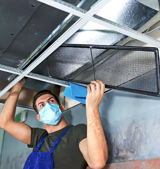 Professional Air Duct Pollen Cleaning in The Crossings, FL
