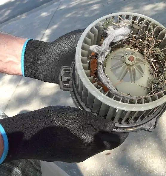 About Air Duct Rat Removal in The Crossings, FL
