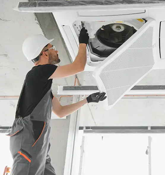 About Air Duct Rodent Removal in The Crossings, FL