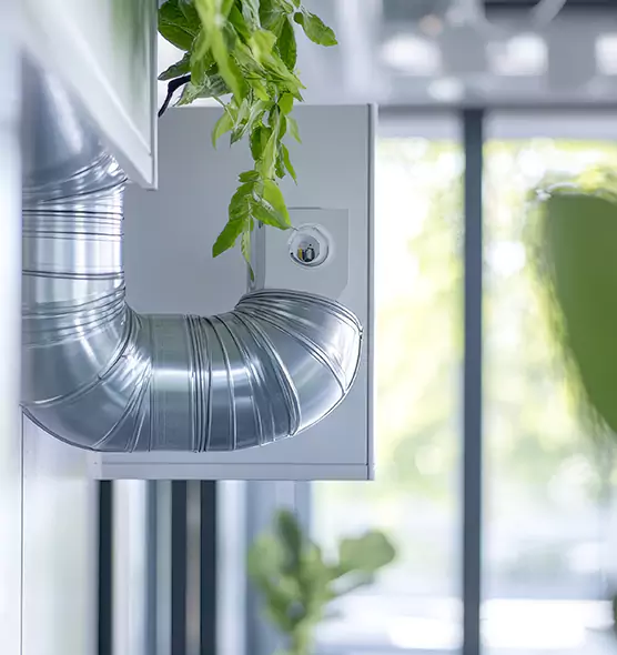 Professional Eco-Safe Dryer Vent Cleaning in The Crossings, FL