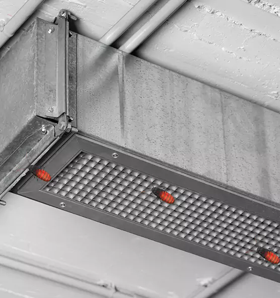 Affordable Insect Removal from Air Ducts in The Crossings, FL