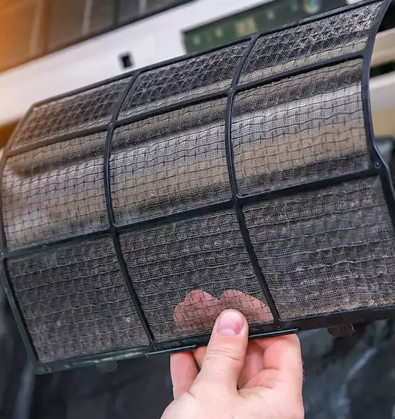 About Pet Dander Duct Cleaning in The Crossings, FL
