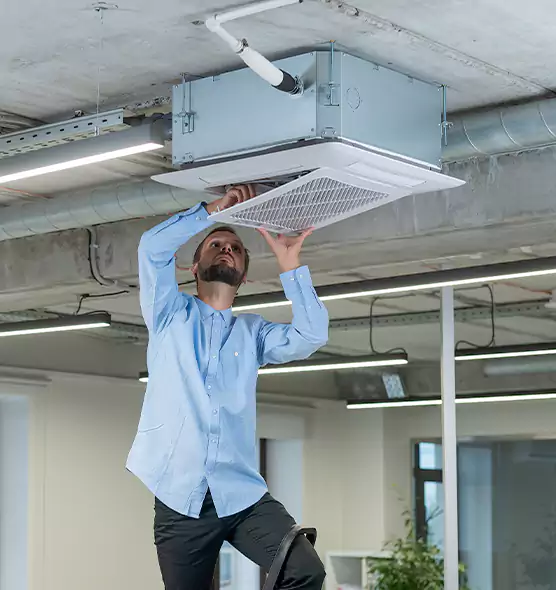 Advanced Rodent Droppings In Vents in The Crossings, FL